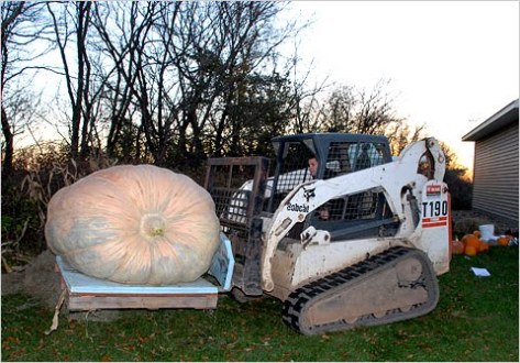 big pumpkin